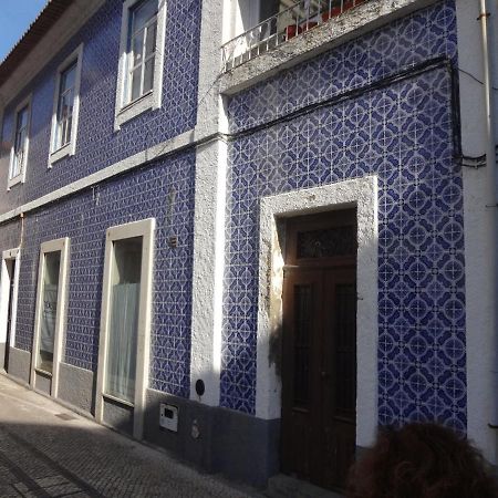Ficus Benjamina Apartment Aveiro Bagian luar foto