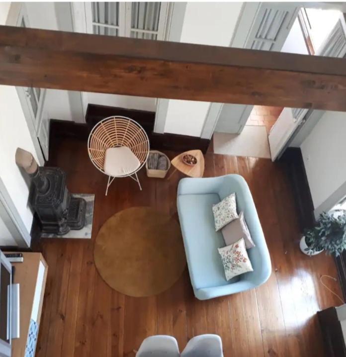 Ficus Benjamina Apartment Aveiro Bagian luar foto