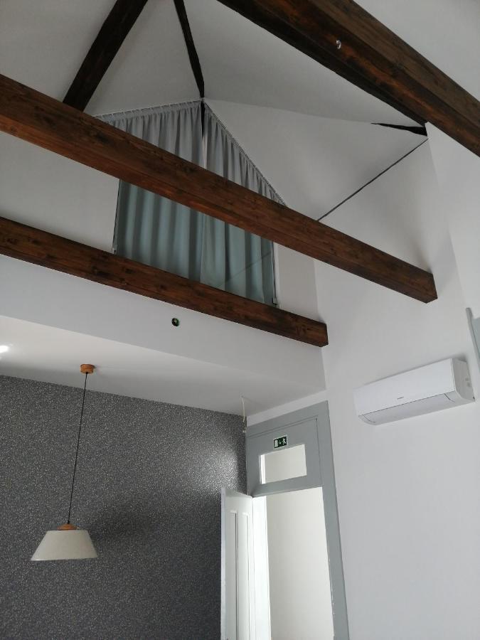 Ficus Benjamina Apartment Aveiro Bagian luar foto